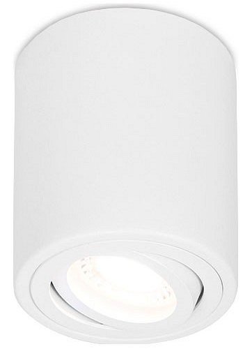 Потолочный светильник Ambrella light Techno Spot TN225