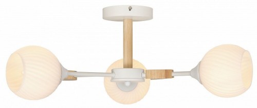 Люстра на штанге Rivoli Chiara Б0068427 Люстра на штанге Rivoli Chiara Б0068427