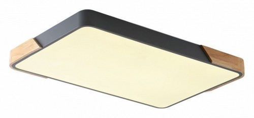 Потолочный светильник Zortes Alberro ZRS.01277.60