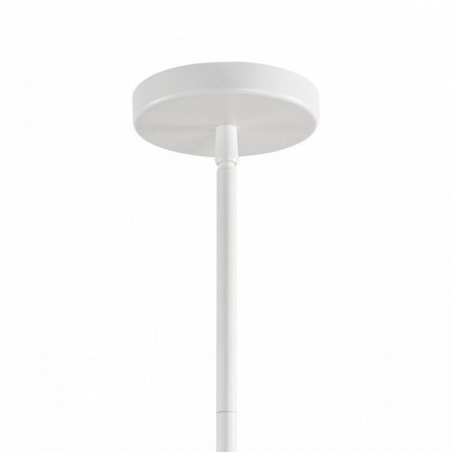 Светильник на штанге F-promo Nevada 4801-3P