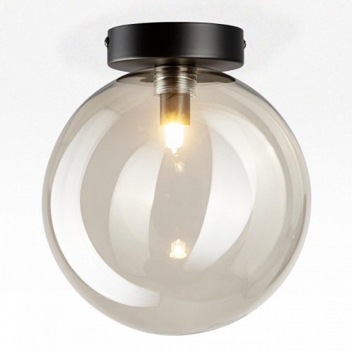 Настенно-потолочный светильник Citilux Orton CL202511