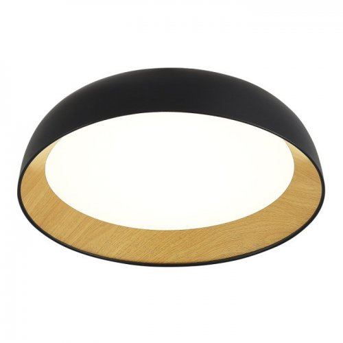 Потолочный светильник Muse SLE1812-402-01 Потолочный светильник Muse SLE1812-402-01