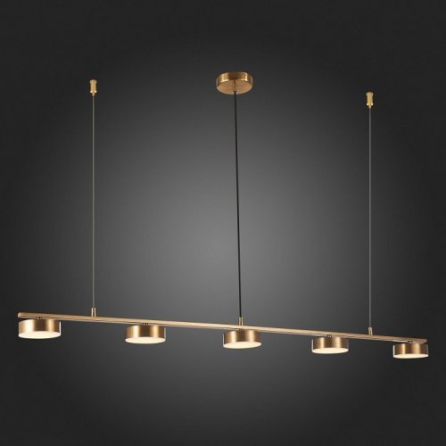 Подвесная светодиодная люстра ST Luce Pances SL6000.303.05