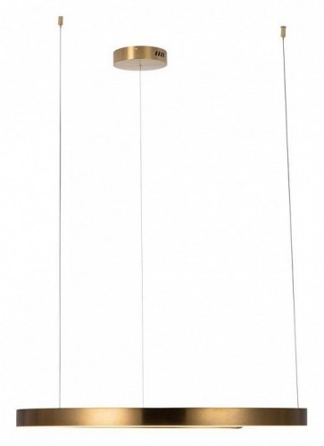Подвесной светодиодный светильник Loft IT Ring 10013L