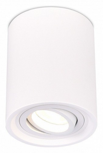 Потолочный светильник ST Luce ST156.502.01