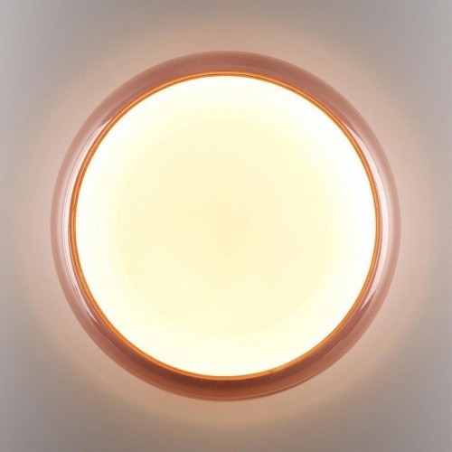 Настенно-потолочный светильник Sonex Portman 7778/DLN
