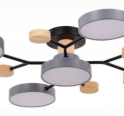 Потолочная люстра EVOLUCE Faema SLE6006-702-05