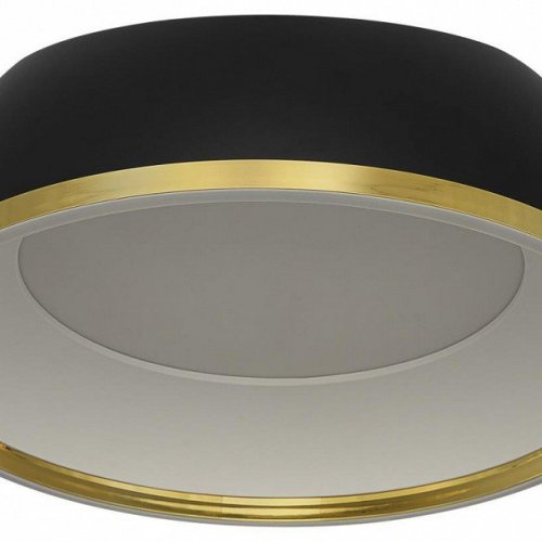 Накладной светильник Citilux FLOOM CL736151