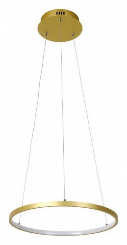 Подвесной светодиодный светильник Favourite Giro 2937-4P