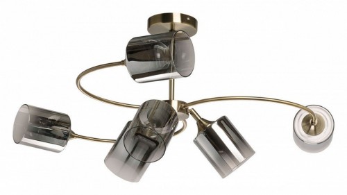 Потолочная люстра Вита 220014106