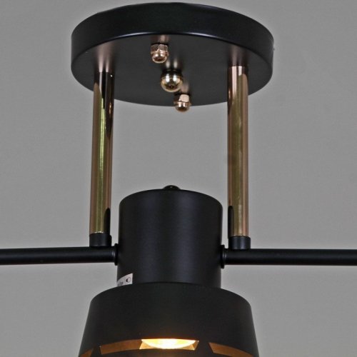 Потолочная люстра Reluce 06074-3.3-03 BK+FG
