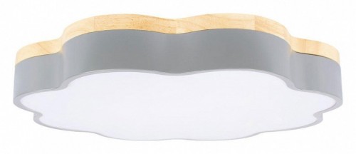 Потолочный светильник Loft IT Axel 10225/36 Grey