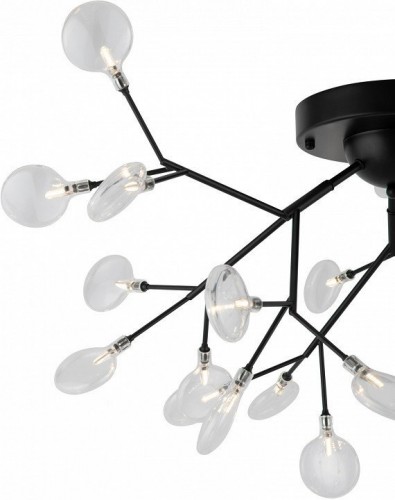 Потолочная люстра Freya Florencia FR5049CL-27B