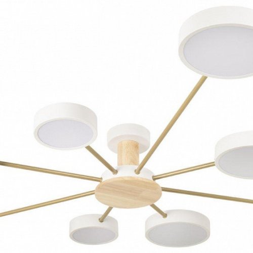 Потолочная люстра Loft IT Sunrise 10316/8 White