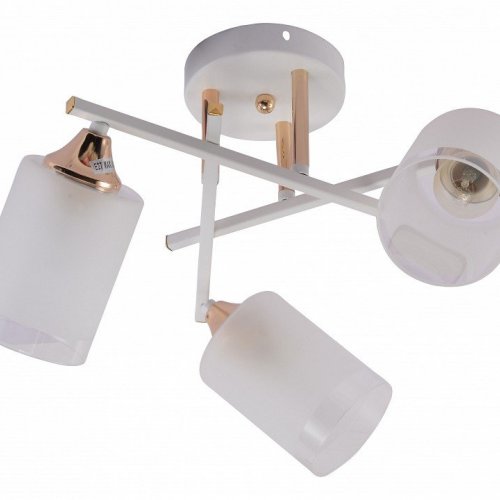 Люстра на штанге Rivoli Tammy Б0059258 Люстра на штанге Rivoli Tammy Б0059258