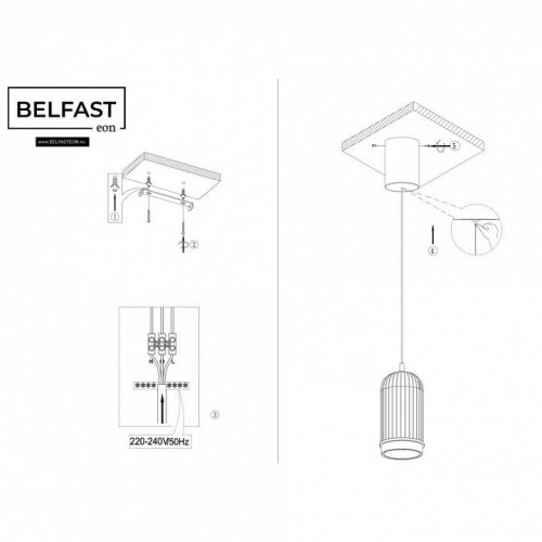 Подвесной светильник Belfast PINERIDGE FS-380-D1 BR