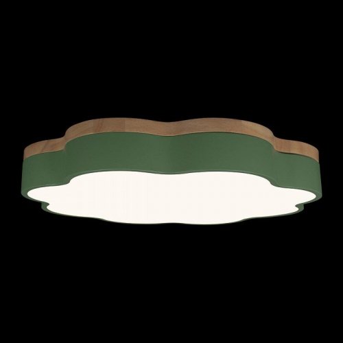 Потолочный светильник Axel 10225/36 Green