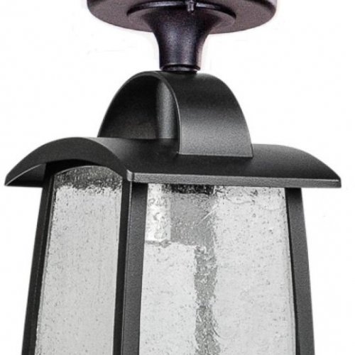 Потолочный светильник уличный Oasis Light FRANKFURT I 2736 05A Bl