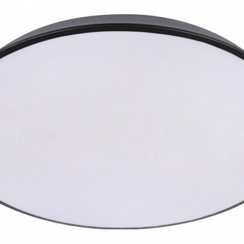 Потолочный светильник Brim 10226 Black