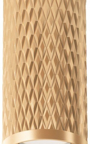 Потолочный светильник Maytoni Alfa C036CL-01G