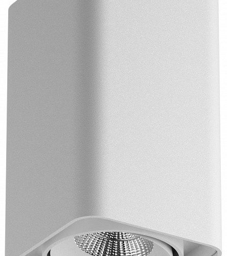 Накладной светильник Lightstar Monocco 052136-IP65 Накладной светильник Lightstar Monocco 052136-IP65