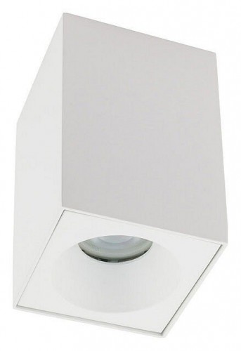 Потолочный светильник Nowodvorski Bravo 8364