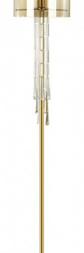 Торшер Odeon Light Nicole 4886/1F Торшер Odeon Light Nicole 4886/1F