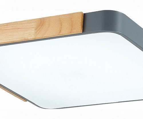 Потолочный светильник Evoluce Festa SLE201272-01