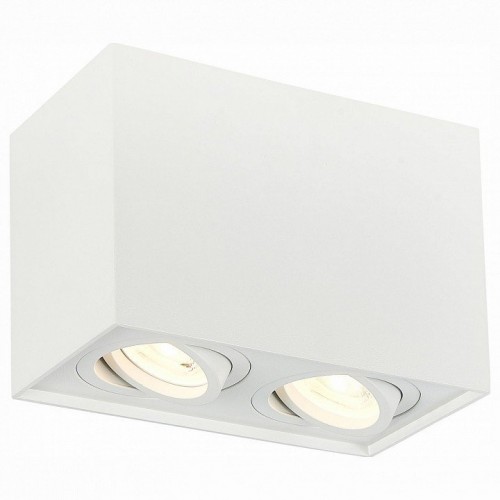 Потолочный светильник ST Luce ST109.507.02 Потолочный светильник ST Luce ST109.507.02