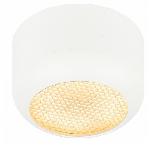Накладной светильник Эра  OL56 WH