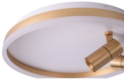 Потолочный светильник Zortes Raizy ZRS.1888.02