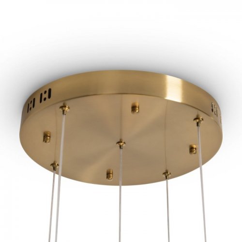 Подвесной светильник Flower FR5579PL-L40BS