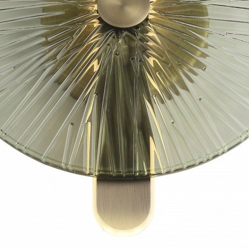 Накладной светильник ST-Luce WASI SL6141.321.01 Накладной светильник ST-Luce WASI SL6141.321.01