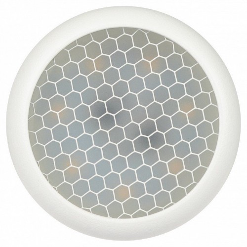 Спот Эра  OL55 WH