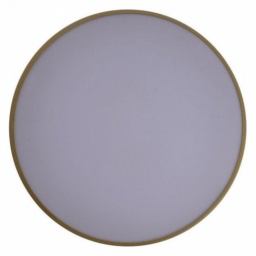 Потолочный светильник Zortes Gabby ZRS.90610.40