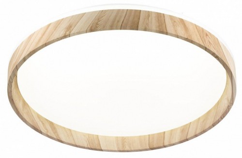 Накладной светильник Citilux ENZO CL753452G Накладной светильник Citilux ENZO CL753452G