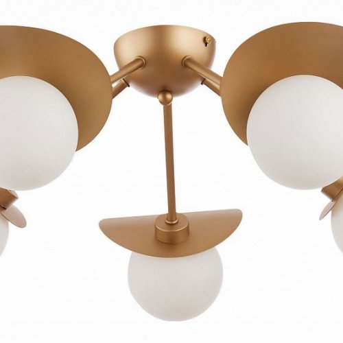 Потолочная люстра Evoluce Bolzano SLE220502-05