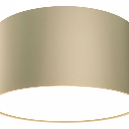 Потолочный светильник Maytoni Zon C032CL-12W3K-RD-MG Потолочный светильник Maytoni Zon C032CL-12W3K-RD-MG