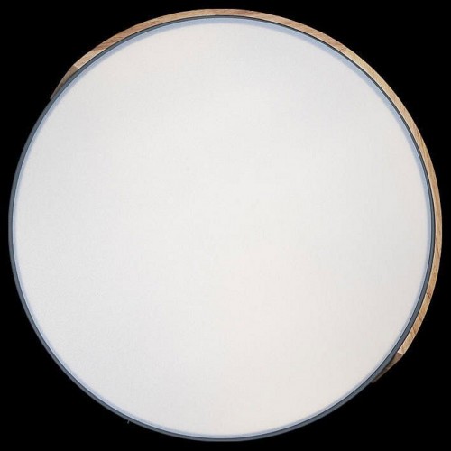 Потолочный светильник Loft IT Axel 10004/36 Grey