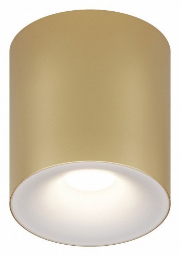 Накладной светильник Maytoni Spark C094-GU10-MG