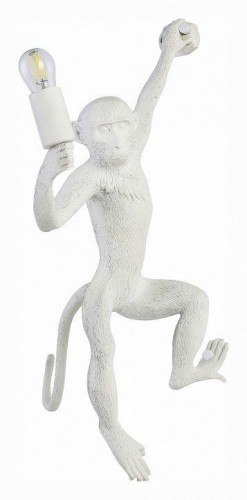 Бра Evoluce Tenato SLE115111-01 Бра Evoluce Tenato SLE115111-01