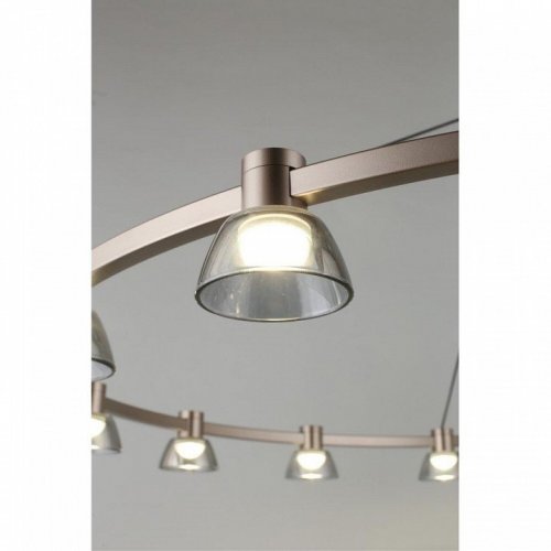 Подвесной светодиодный светильник Aployt Rezeda APL.788.03.15