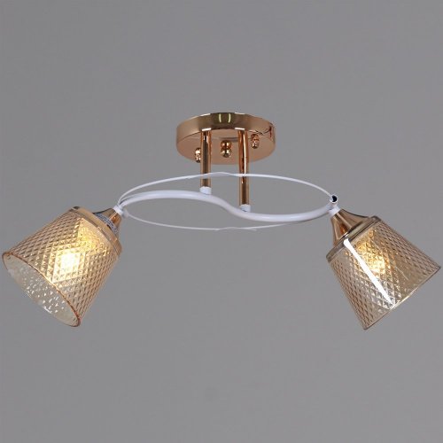 Потолочная люстра  06003-0.3-02 FG+WT Потолочная люстра  06003-0.3-02 FG+WT