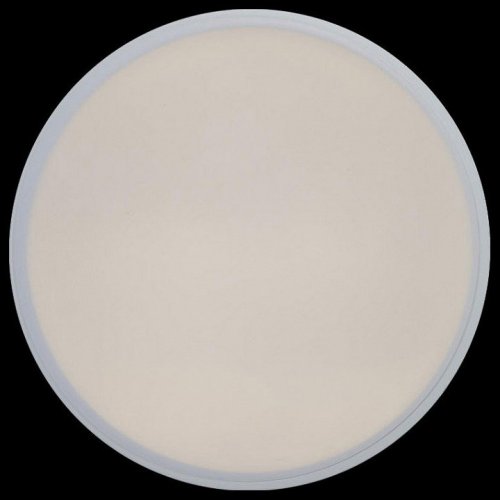 Потолочный светильник Loft IT Axel 10002/12 White Потолочный светильник Loft IT Axel 10002/12 White