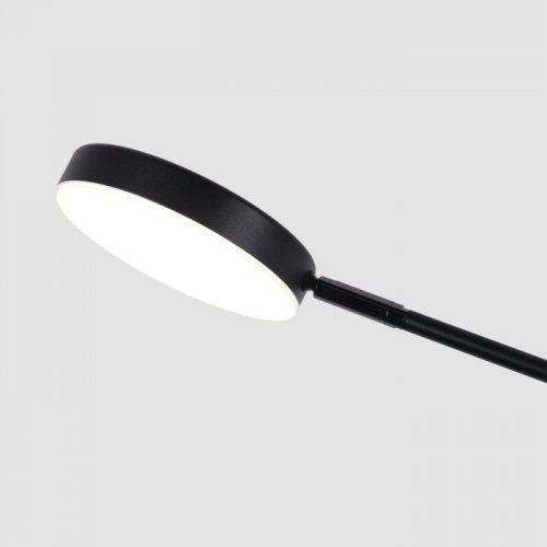 Потолочная люстра Favourite Vorago 4572-1C