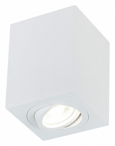 Точечный светильник Simple Story 2038 2038-1CLW