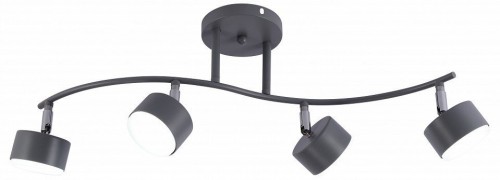 Спот Rivoli Vivien 7077-704