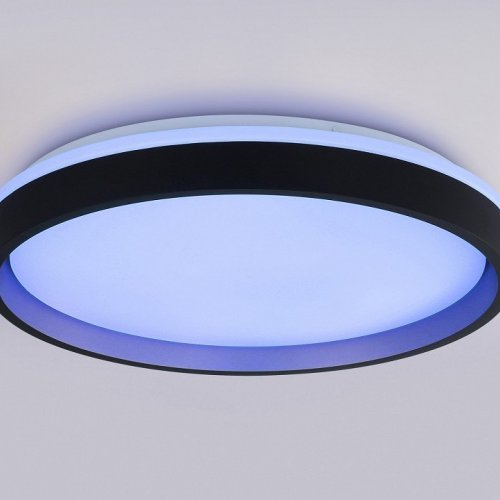 Накладной светильник Ambrella Light FZ FZ610