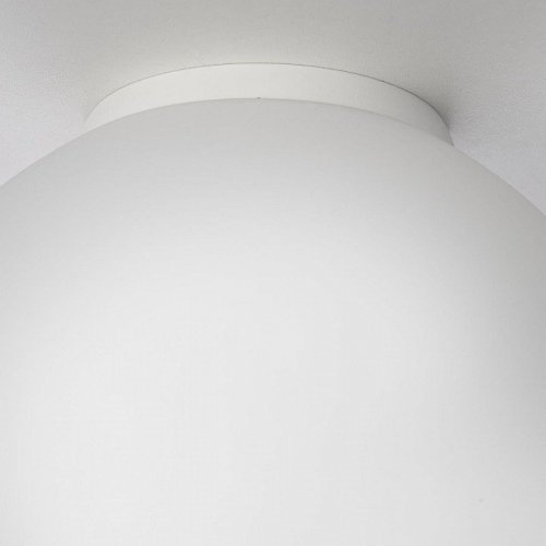 Настенно-потолочный светильник Citilux Ron CL941D20B0
