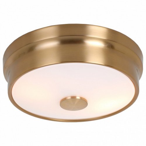 Потолочный светильник Favourite Pannikin 2375-2C Потолочный светильник Favourite Pannikin 2375-2C